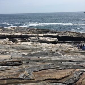 Meet your Posher, Ella